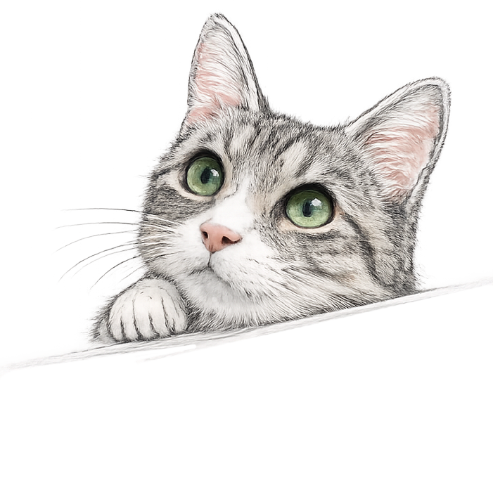 ammons-hill-sketch-1